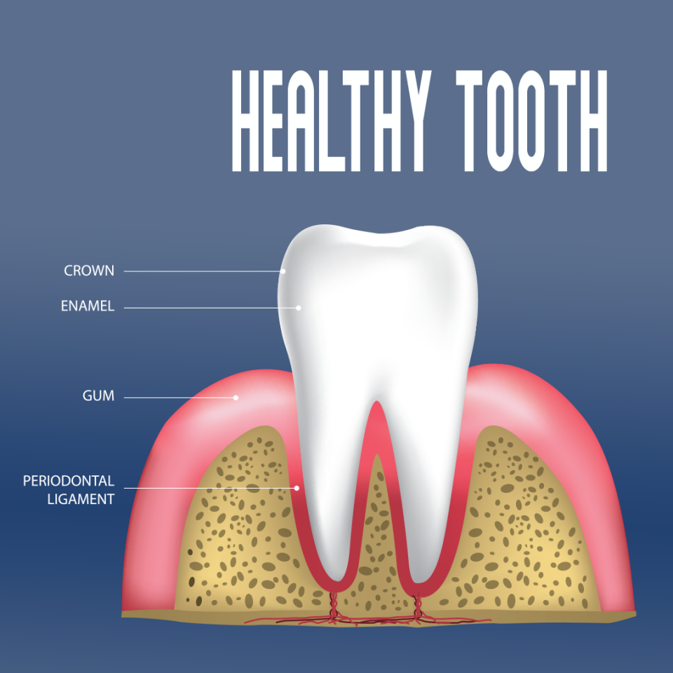 Gum Disease: The Good, The Bad, And The Ugly | Wolf River Dental Center